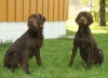Cessy(Chiara) und Artemis
