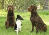 Cessy(Chiara), Winni und Artemis
